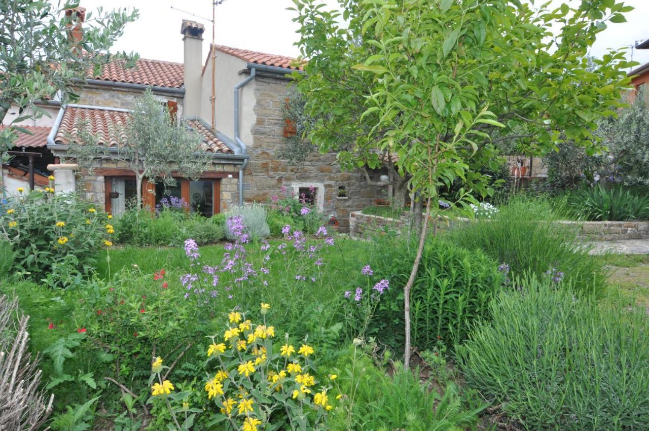 Istrian Stone House Villa Secovlje Bagian luar foto