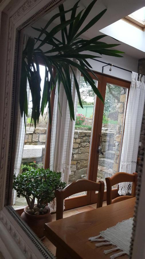 Istrian Stone House Villa Secovlje Bagian luar foto