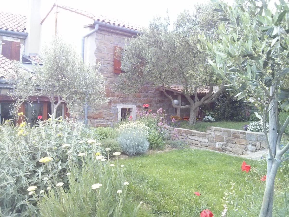 Istrian Stone House Villa Secovlje Bagian luar foto