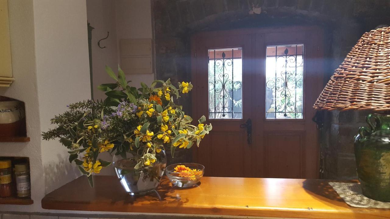 Istrian Stone House Villa Secovlje Bagian luar foto