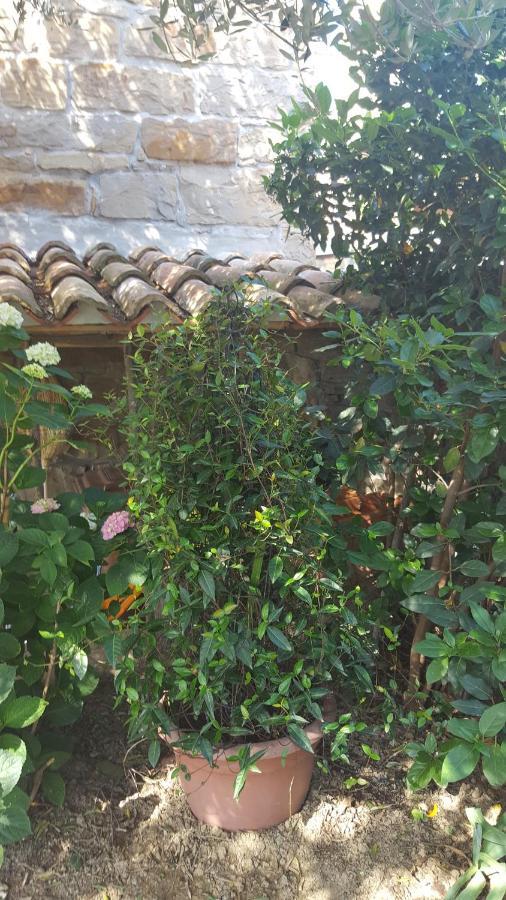 Istrian Stone House Villa Secovlje Bagian luar foto