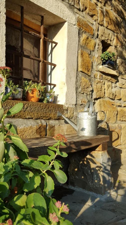 Istrian Stone House Villa Secovlje Bagian luar foto