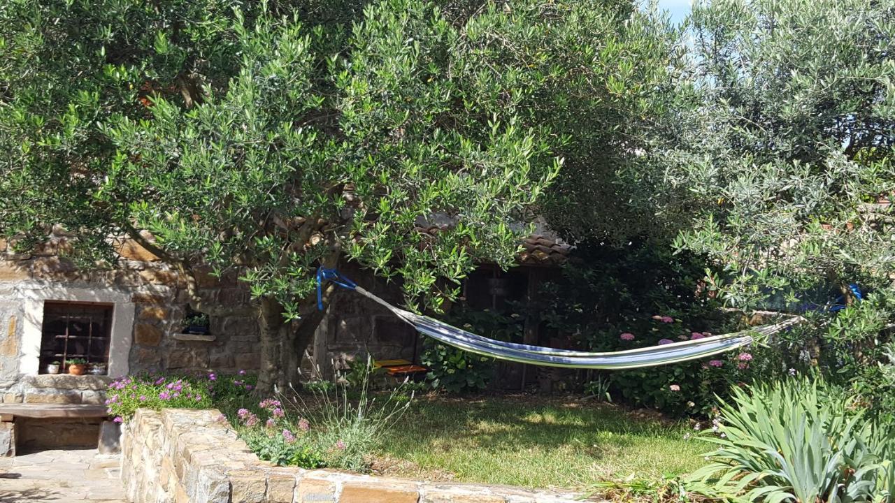 Istrian Stone House Villa Secovlje Bagian luar foto