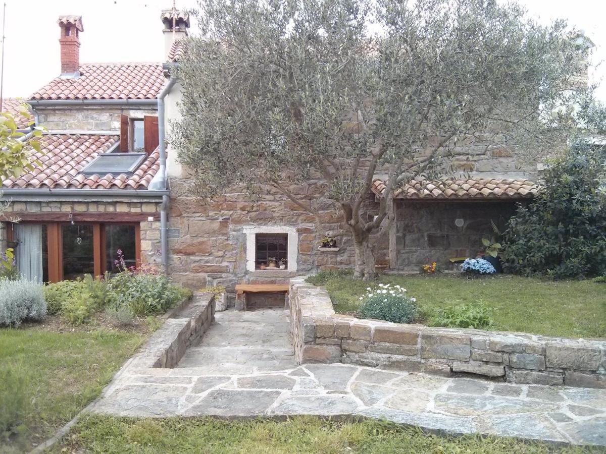 Istrian Stone House Villa Secovlje Bagian luar foto