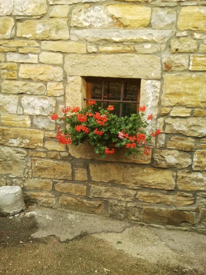 Istrian Stone House Villa Secovlje Bagian luar foto