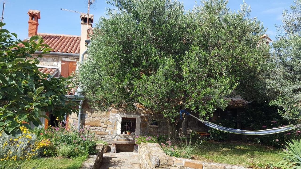 Istrian Stone House Villa Secovlje Bagian luar foto