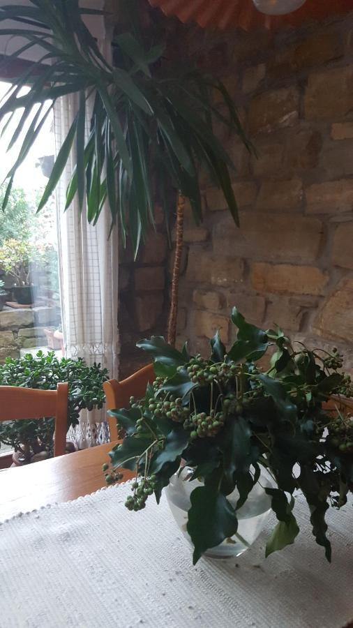 Istrian Stone House Villa Secovlje Bagian luar foto
