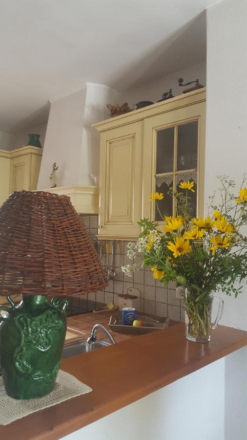 Istrian Stone House Villa Secovlje Bagian luar foto