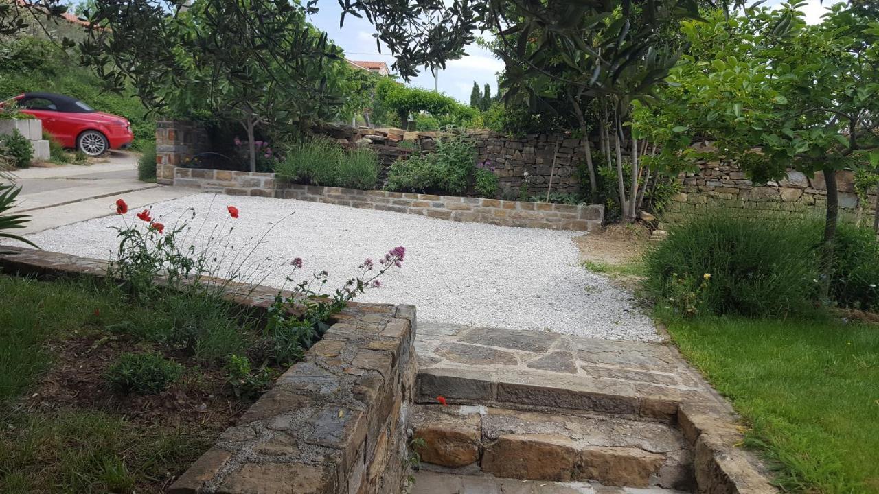Istrian Stone House Villa Secovlje Bagian luar foto